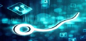 Read more about the article Long Tail Keywords : Your Secret Weapon in SEO