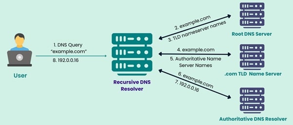 DNS query process for website loading