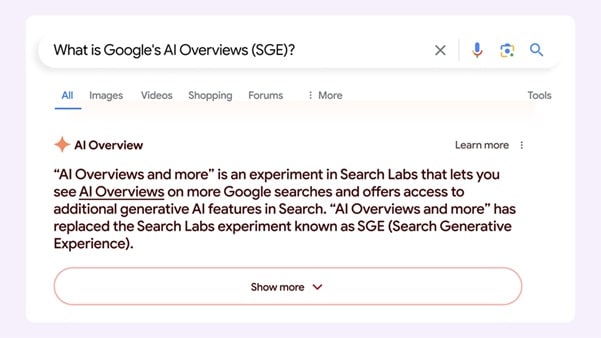 Google AI Overview SGE example with source citations
