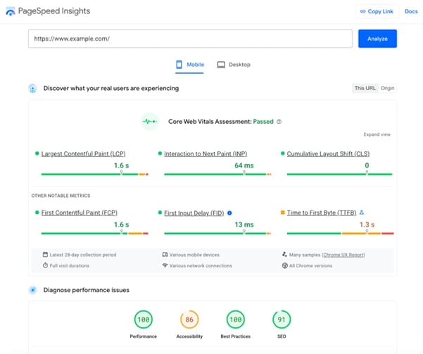 Google PageSpeed Insights example report
