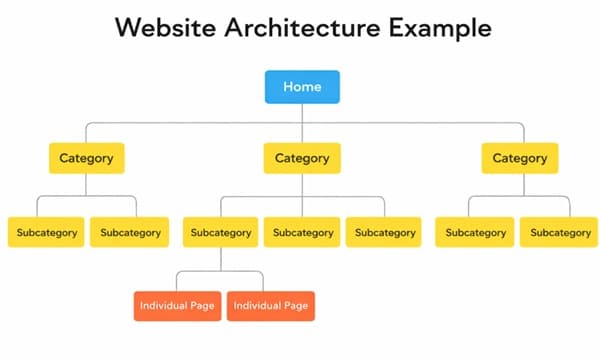Website architecture example showing page hierarchy