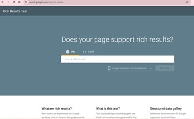 Google Rich Results Test tool interface